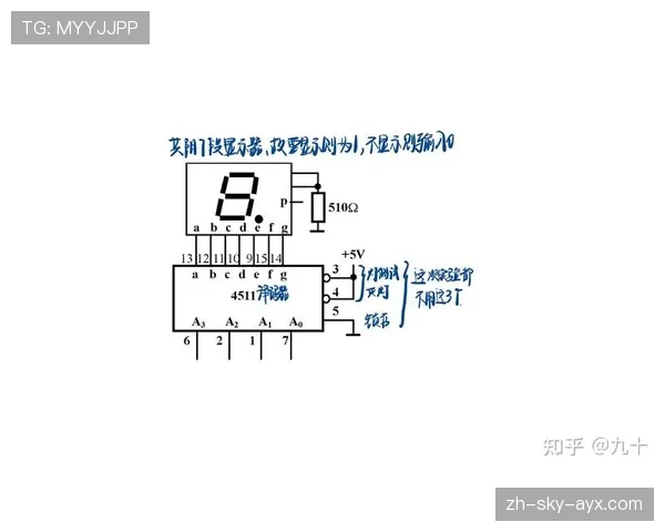篮球14秒重置规则详解及场上具体触发场景